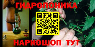 винт Гусь-Хрустальный