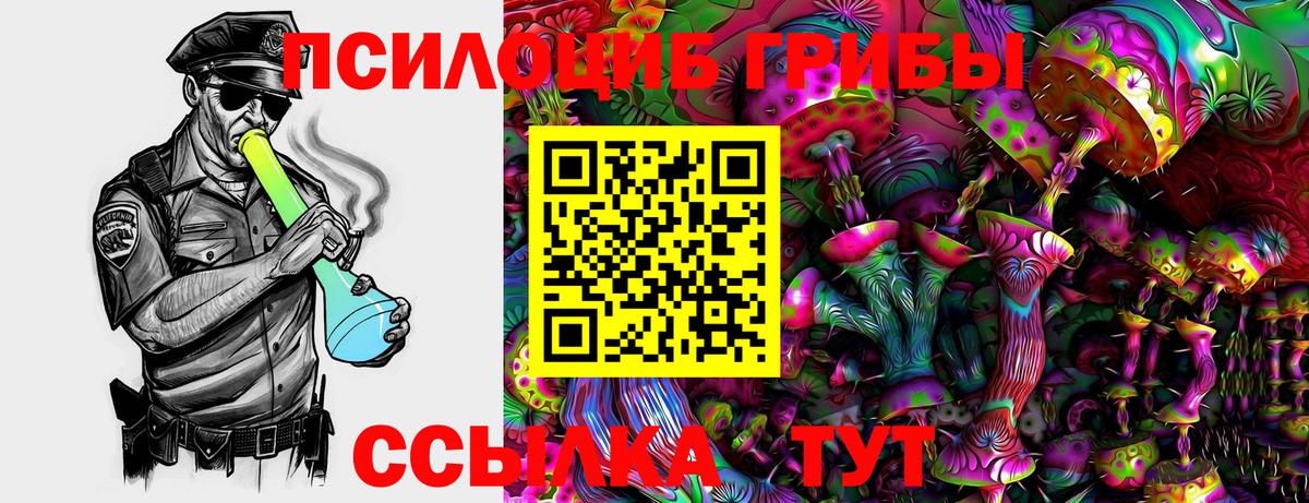Псилоцибиновые грибы MAGIC MUSHROOMS Можга