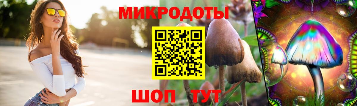 Галлюциногенные грибы GOLDEN TEACHER  наркотики  Псилоцибиновые грибы Psilocybine cubensis  Можга  Вход с VPN 